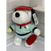 PICKLEBALL SNOOPY 2024 Peanuts CVS SUMMER Holiday Plush As Seen On TikTok