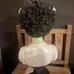 NWT Bride of Frankenstein!