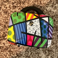 RARE LTD ED Heys Britto 12” Landscape Hard Sided Cosmetic Beauty Carrying Case