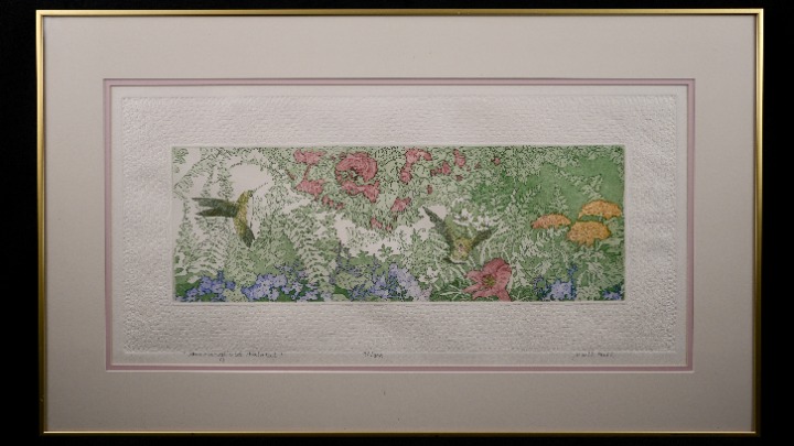 Vintage Framed Judith Hall Signed Limited Edition Etching Hummingbird Habitat