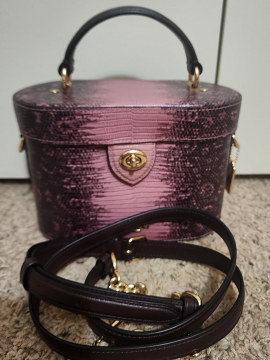 Coach Pink Faux Lizard Kay Crossbody Bag