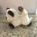 American Girl Doll Pets Set Dog & Cat