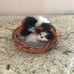 American Girl Doll Pets Set Dog & Cat