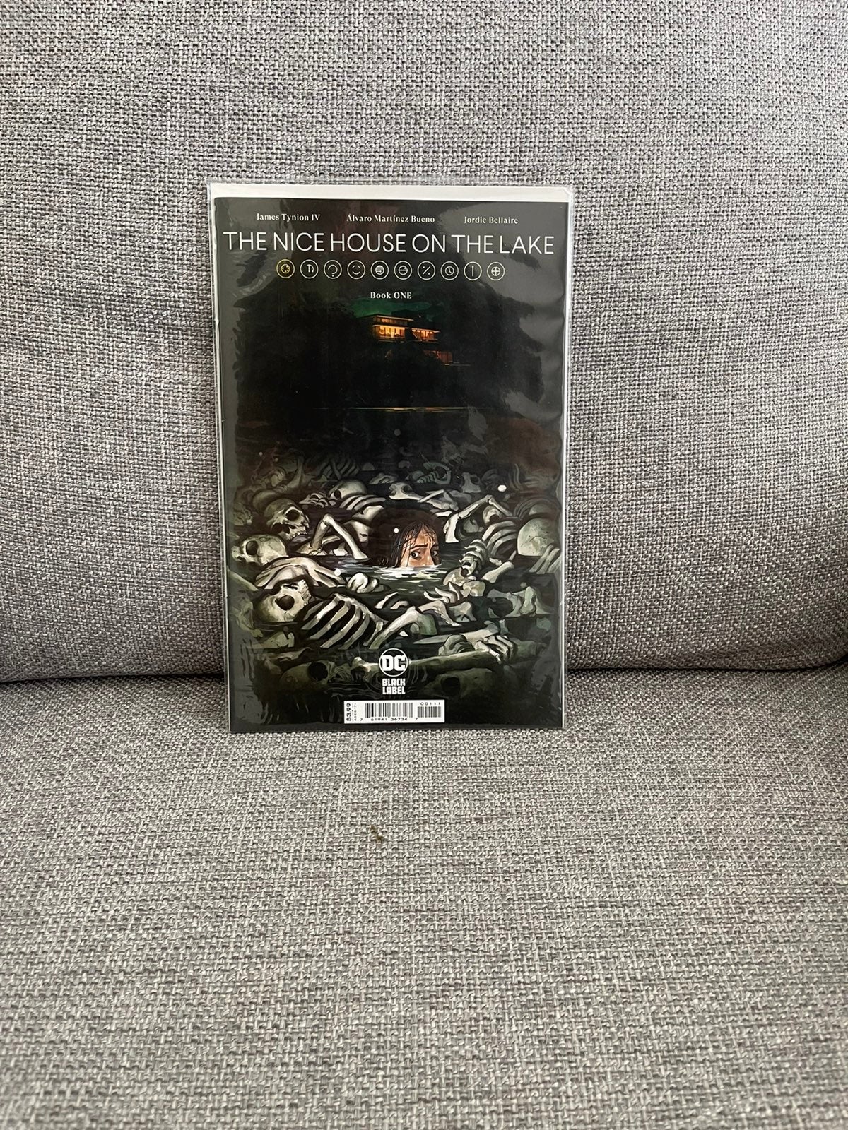 DC Comics THE NICE HOUSE ON THE LAKE Book 1