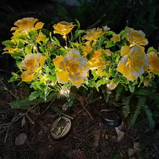 Solar Lights Outdoor Decorative, Solar Garden Lights with Carnation Flowers