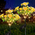 Solar Lights Outdoor Decorative, Solar Garden Lights with Carnation Flowers