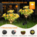Solar Lights Outdoor Decorative, Solar Garden Lights with Carnation Flowers