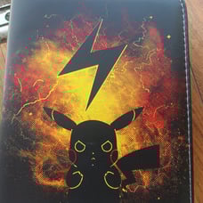 Pokemon case with cards