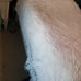 Vintage Bates Pink Twin Bedspread Embossed & Embroidered Floral Center