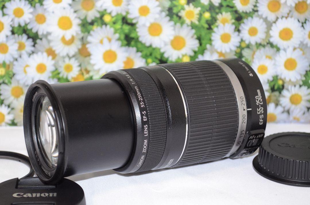 ❤❤Canon EF-S 55-250mm F4-5.6 IS❤Image Stabilization❤Telephoto Lens
