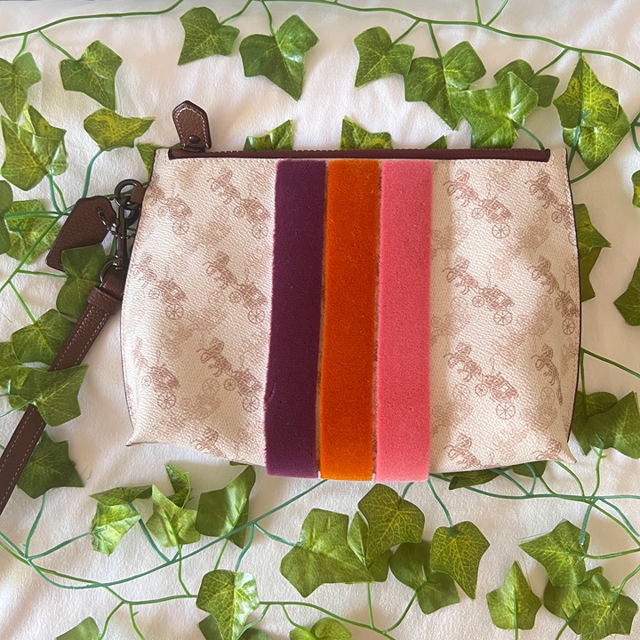 Charlie Pouch With Horse And Carriage Print And Varsity Stripe coach 88500