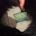Nordvek Sheepskin hat