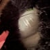 Nordvek Sheepskin hat