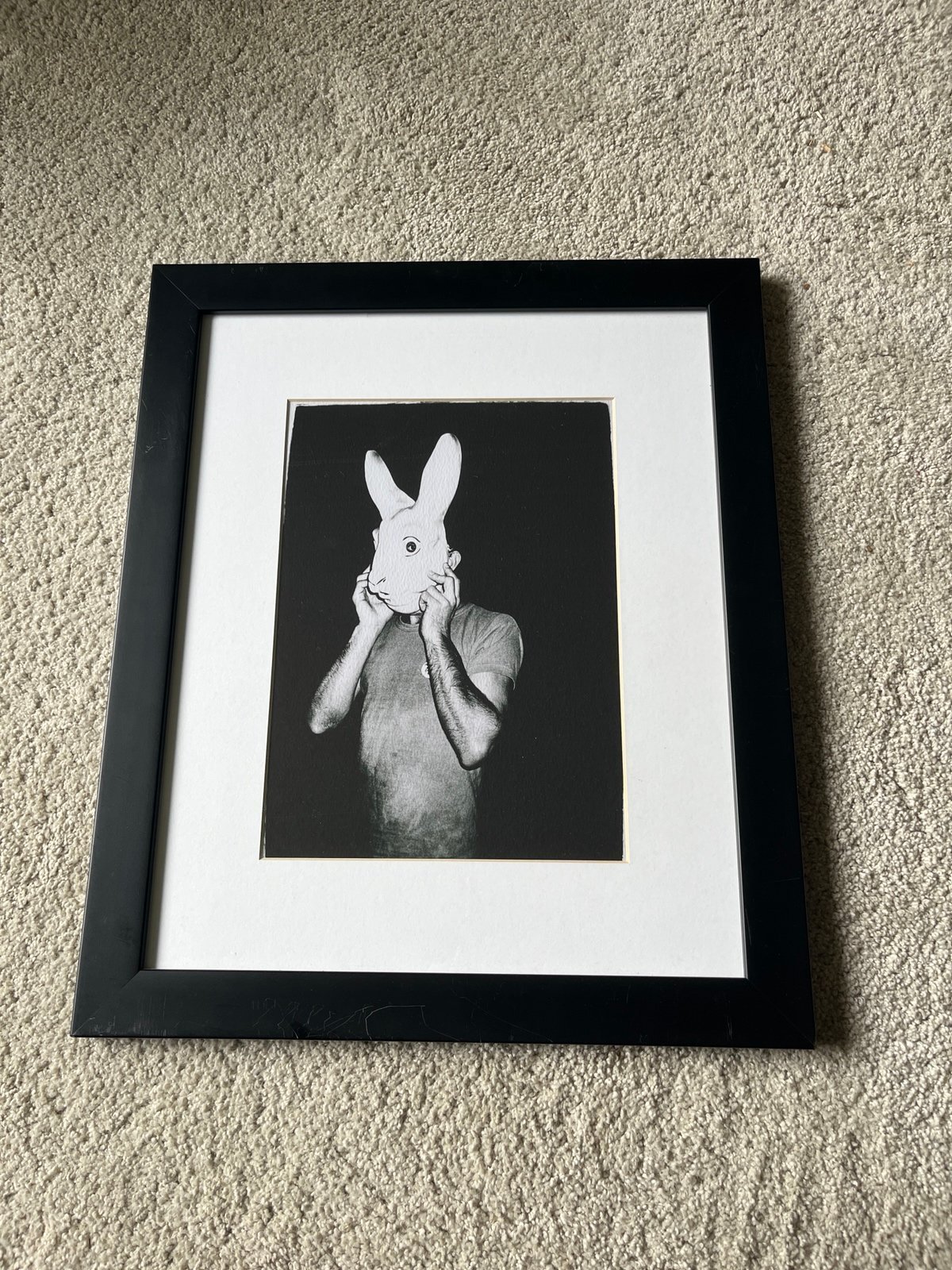 Andy Warhol framed print