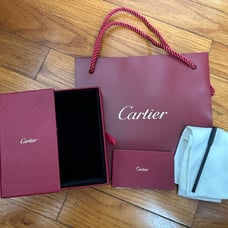 Cartier jewerlry cleaning kit (No solution)