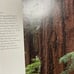Washington's Mount Rainier National Park A Centennial Celebration HardcoverBook