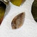 Mexican Crazy Lace Agate Designer Cut Cabochon S063