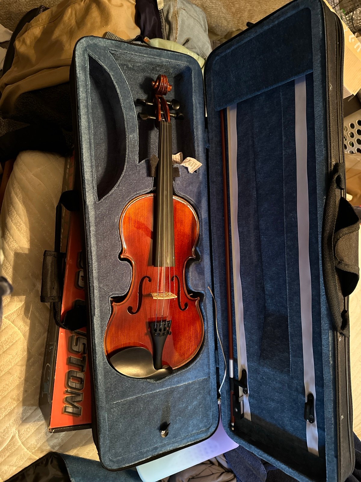 Violin