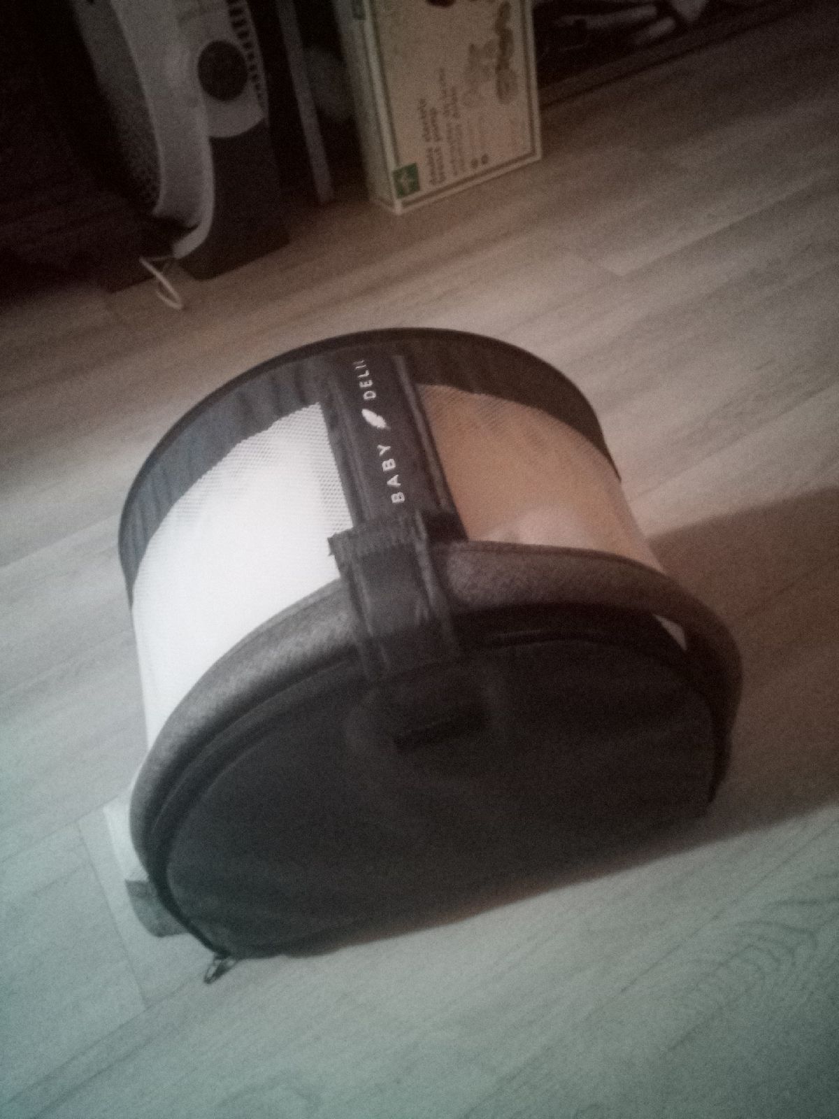 Basinette portable