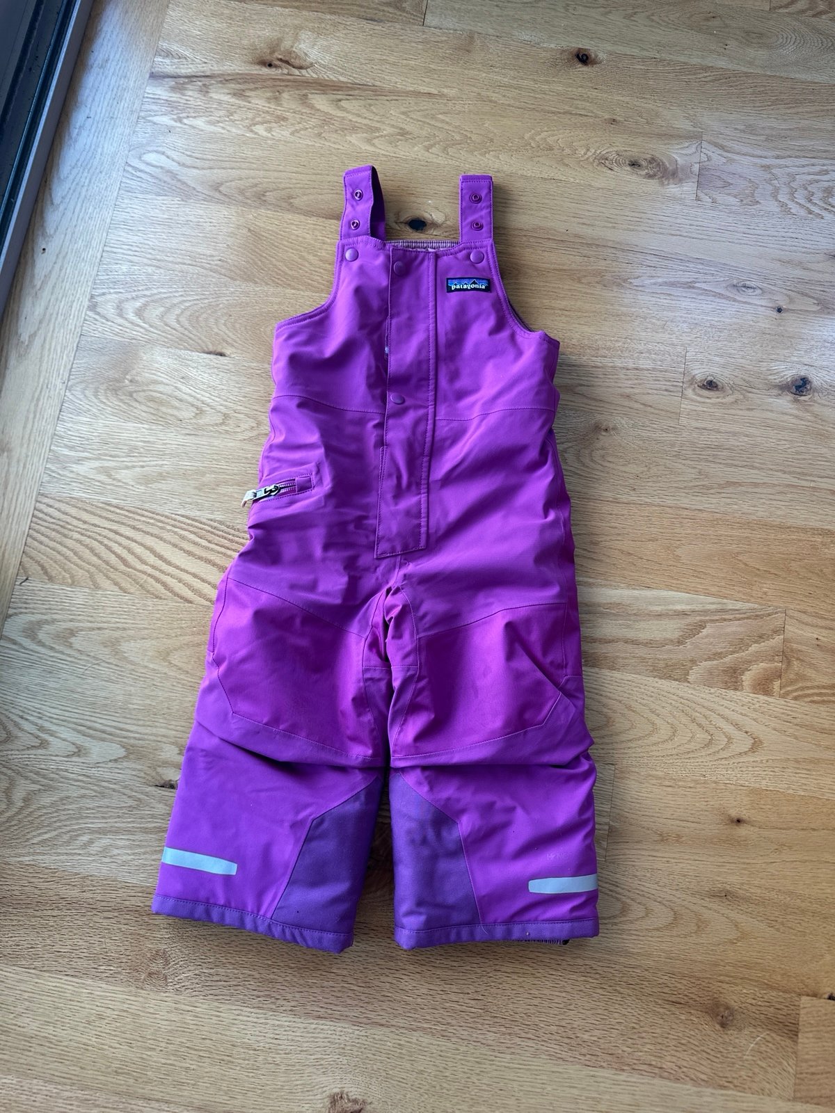 Patagonia kids Snow Pants