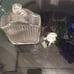1920 Packard Radiator After Shave Glass