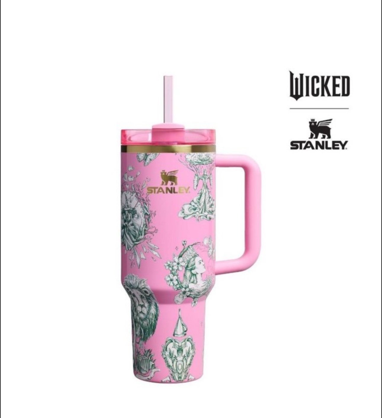 Target x Stanley x Wicked For Good FlowState Quencher Tumbler 40oz Ozian Reprise
