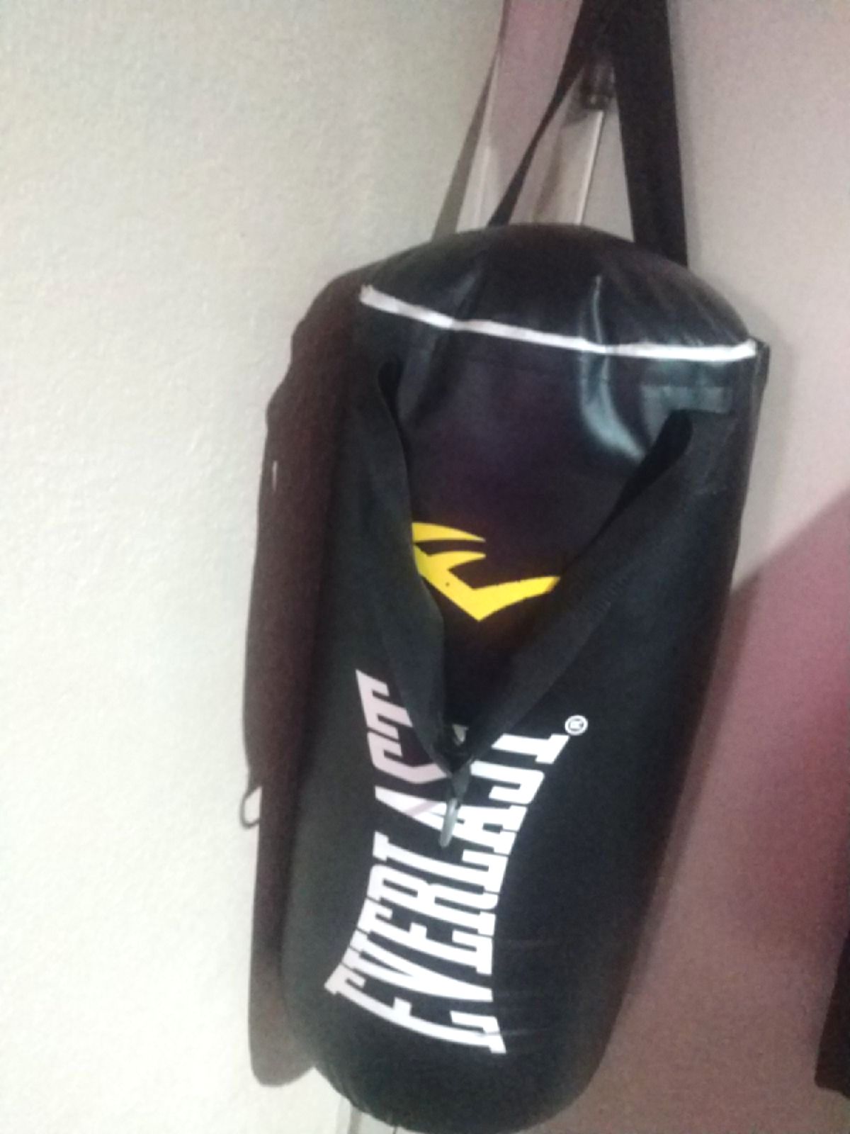 Everlast Heavy bag 50lb