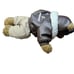 Boeing Bear Heritage Pilot Hank Advertising Teddy Flying Collectible