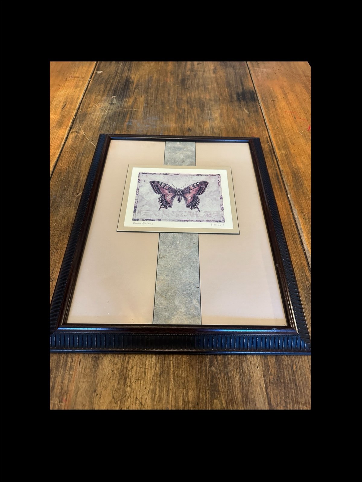 Vintage Framed Butterfly III by Pamala Gladding 16.75” x 20.25” Artist Signed