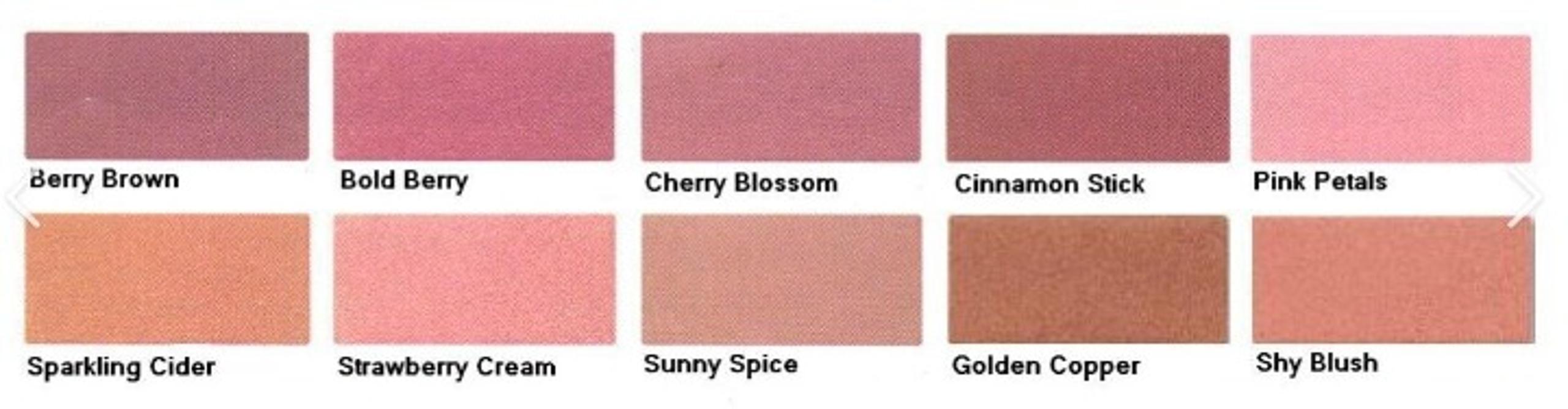Mary Kay Mineral Cheek Color - Shy Blush