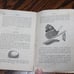 Antique 1857 Children's Magazine
