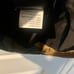 The North Face 2019 Women's Gotham Jacket II