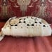 Dan W Ivory 3D Laser Cut Floral Stud Shoulder/Crossbody Bag. VGUC!