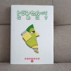 What is Transel? A Pokemon Picture Book