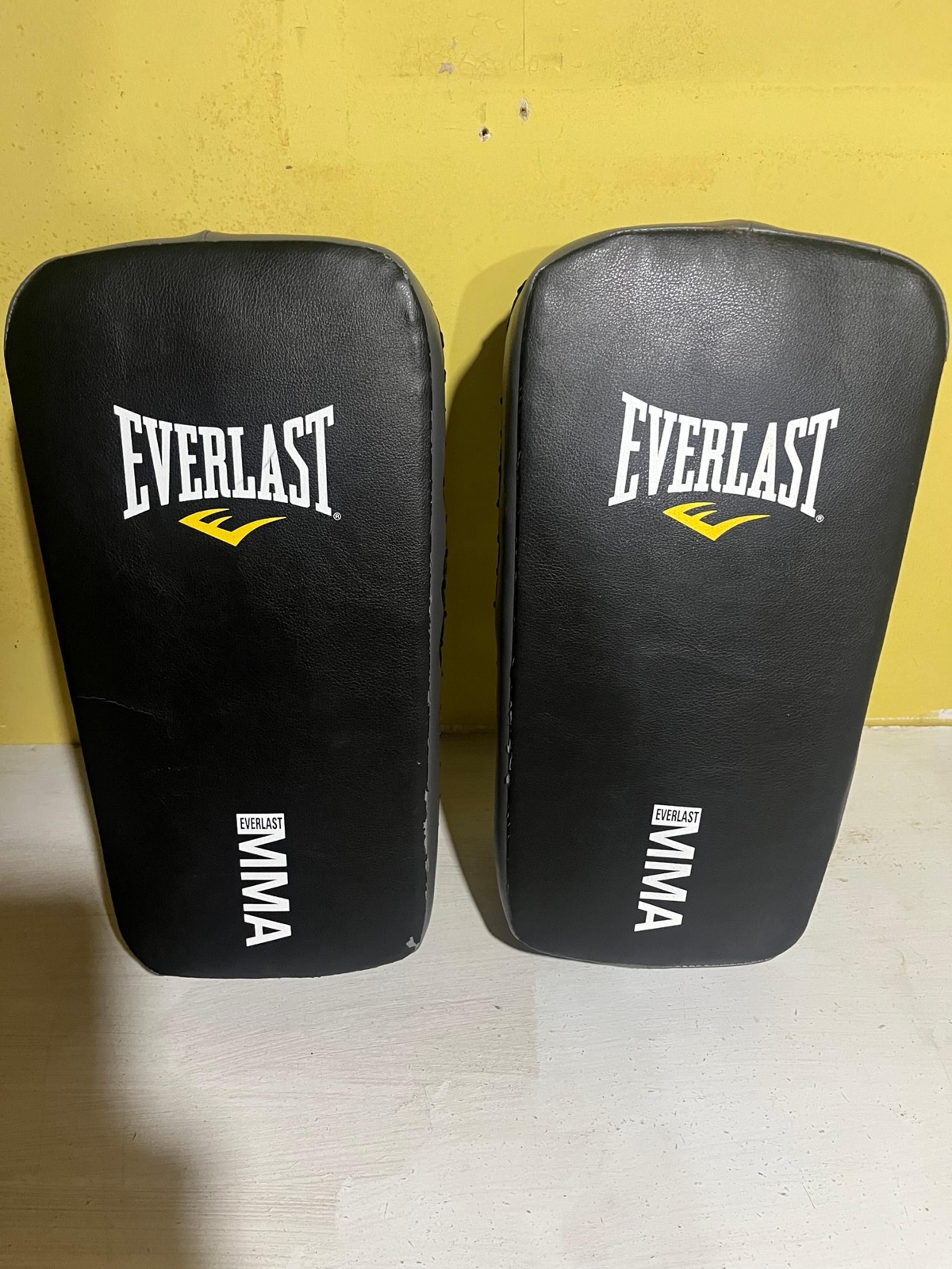 Everlast Thai Pads