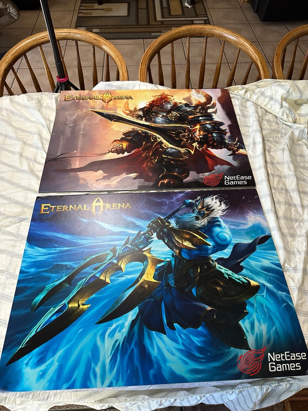 RARE 2 Eternal Arena NetEase Games Display Wall Frame Poster Net Ease Games Lot