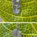 Vtg Maui Divers sterling silver Slip flip flop plumeria flower pendant necklace