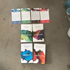 Immerse : The Reading Bible 4 Book Set Lot Tinsdale