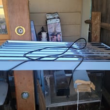 Grow lights