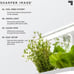 Indoor Water Herb Garden Kit