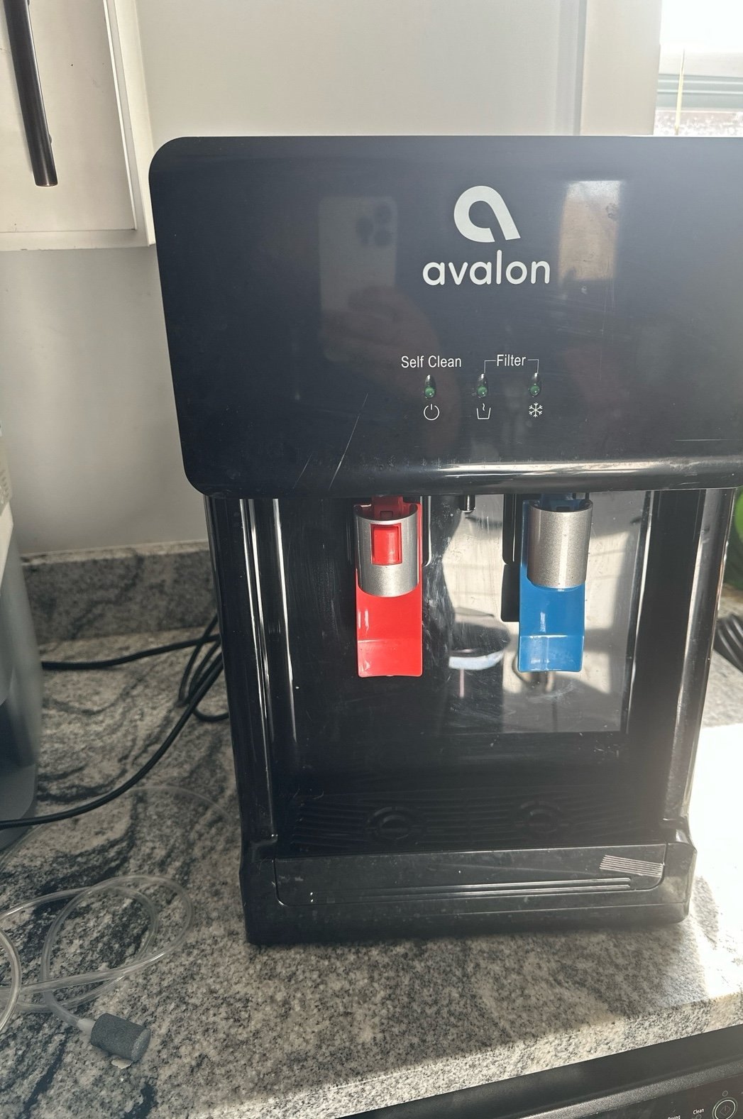 Avalon water filter