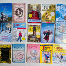 CLASSIC Girl Chapter Books - Little Princess , Bridge to Terabithia & More