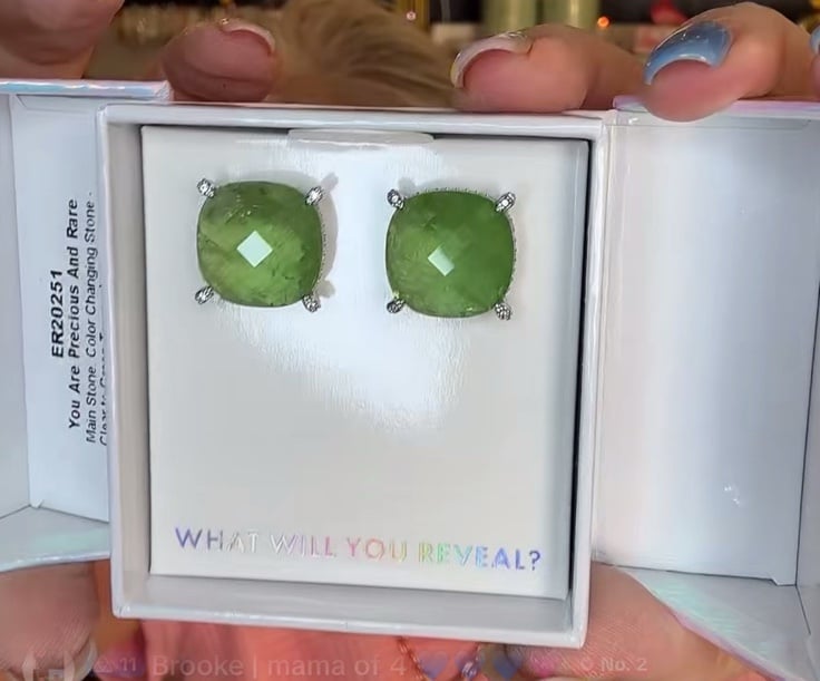MHA 2025 earrings