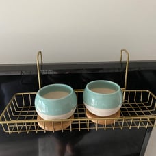 Gold plant holder with 2 succulent pots