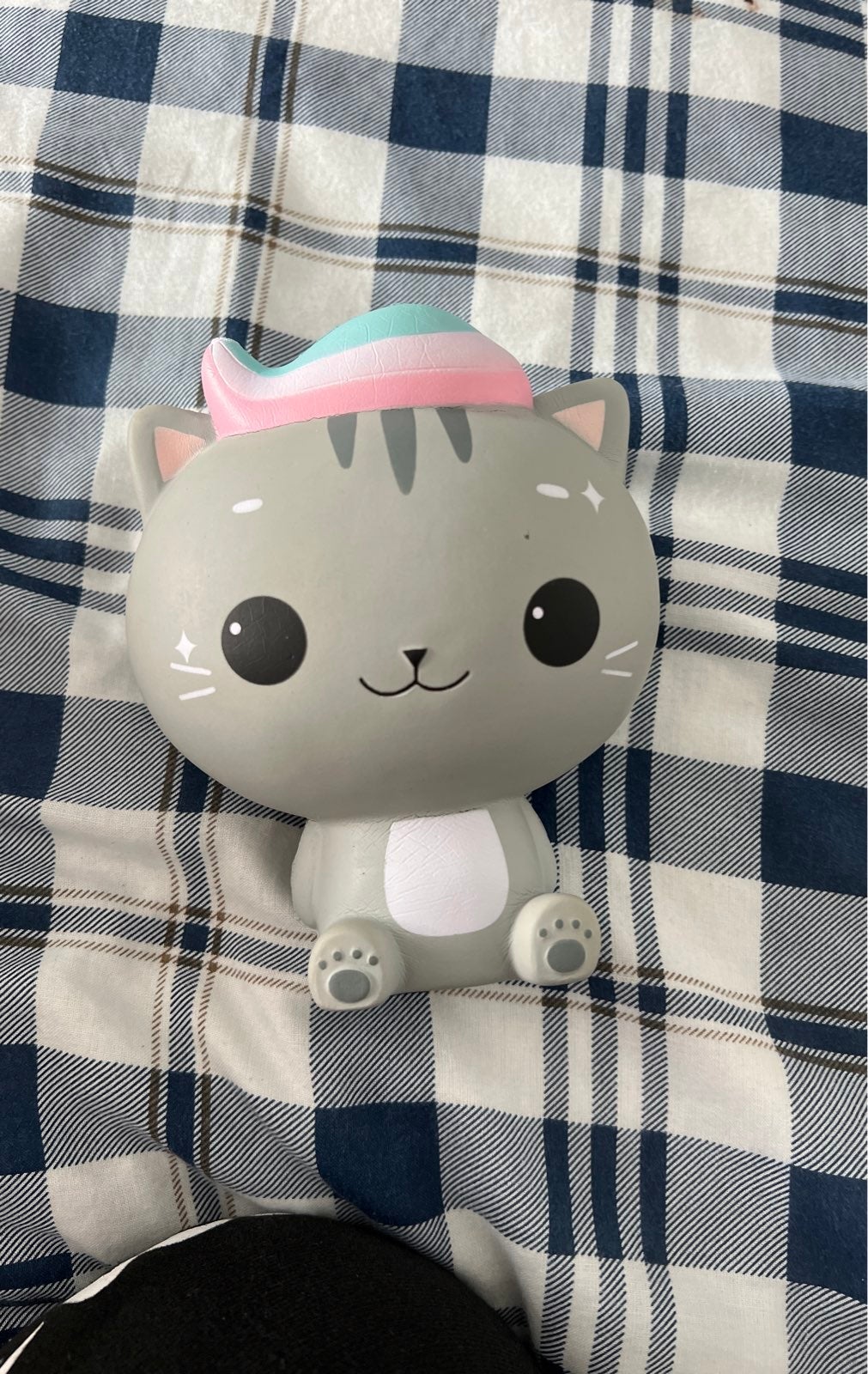 Luna tabby squishy