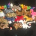 20 1995 PVC Beanie Babies