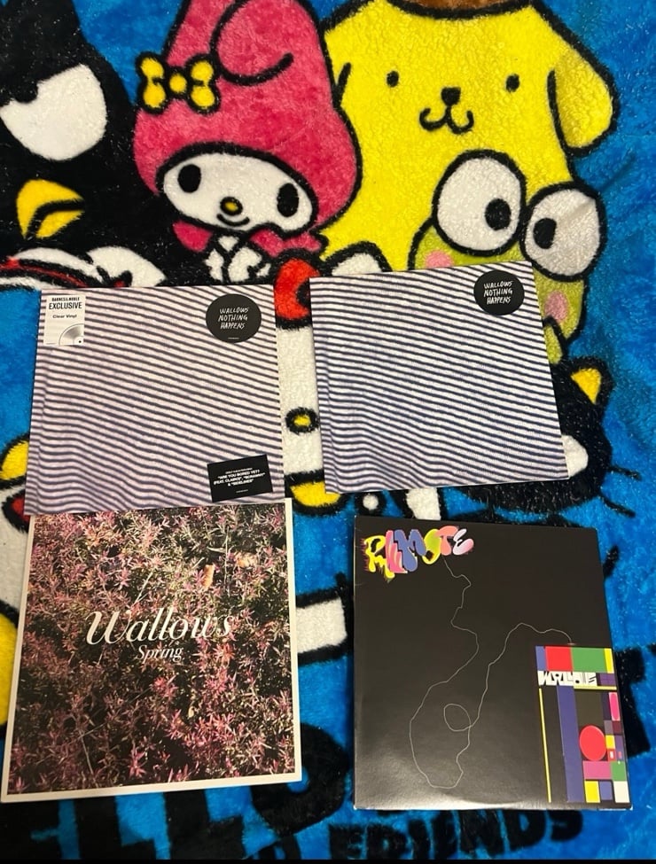 Wallows Vinyl bundle