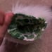 Fursuit paws