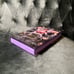 The Cursed Melodies by Connie Glynn