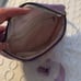 Annual passholder Disney belt bag